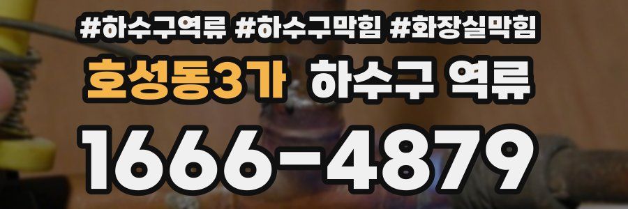 호성동3가 하수구 역류