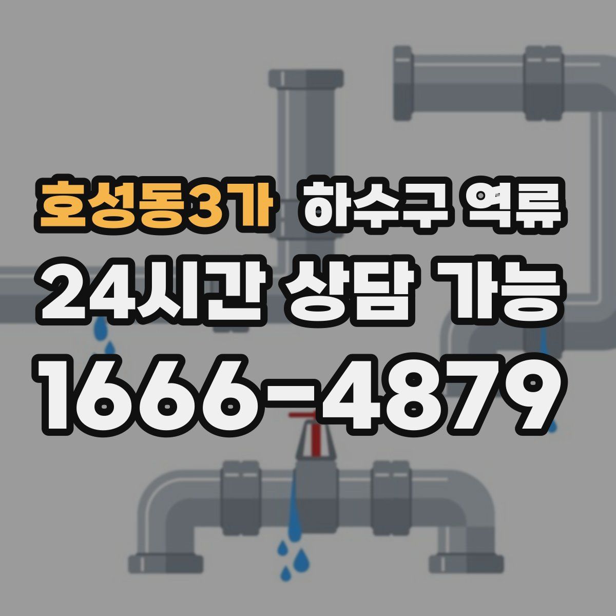 호성동3가 하수구 역류