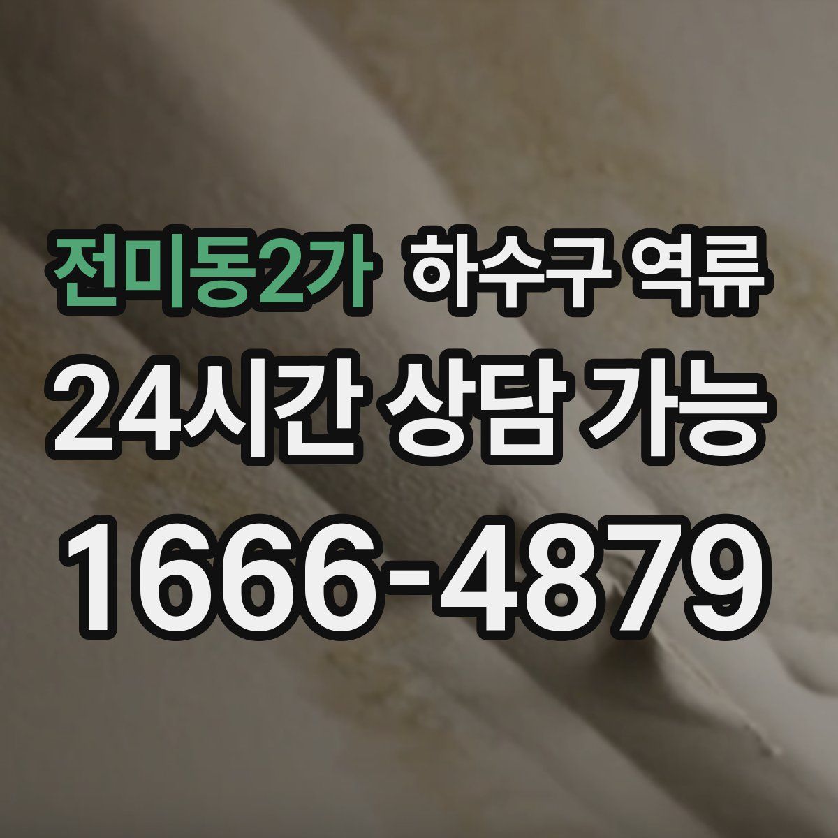 전미동2가 하수구 역류