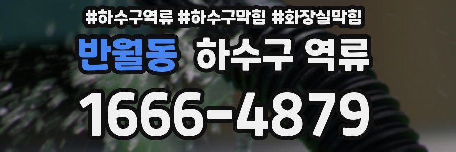 반월동 하수구 역류