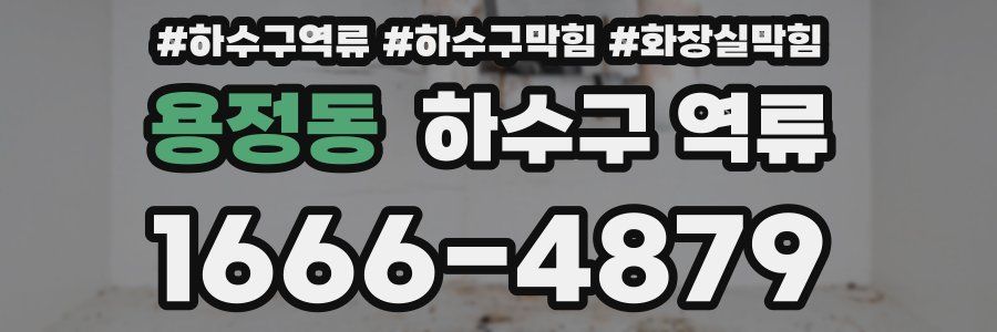 용정동 하수구 역류