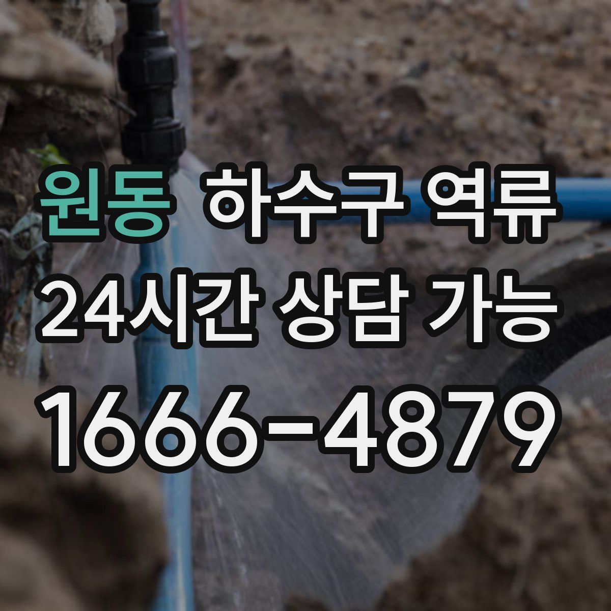 원동 하수구 역류