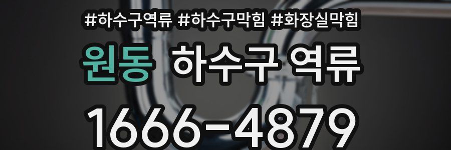 원동 하수구 역류