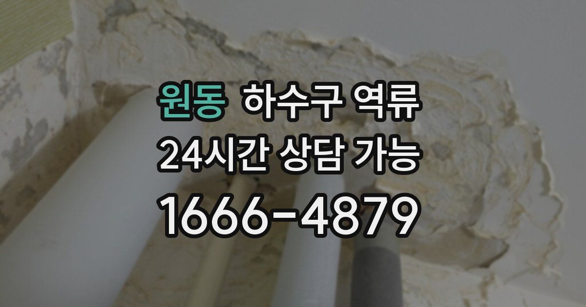 원동 하수구 역류