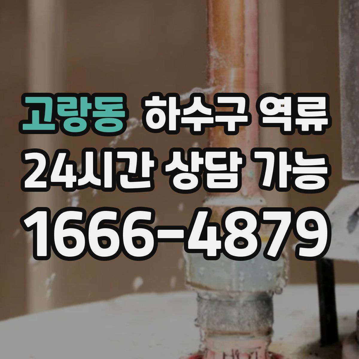 고랑동 하수구 역류