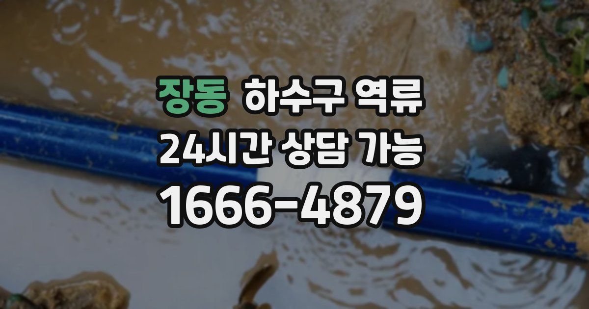 장동 하수구 역류
