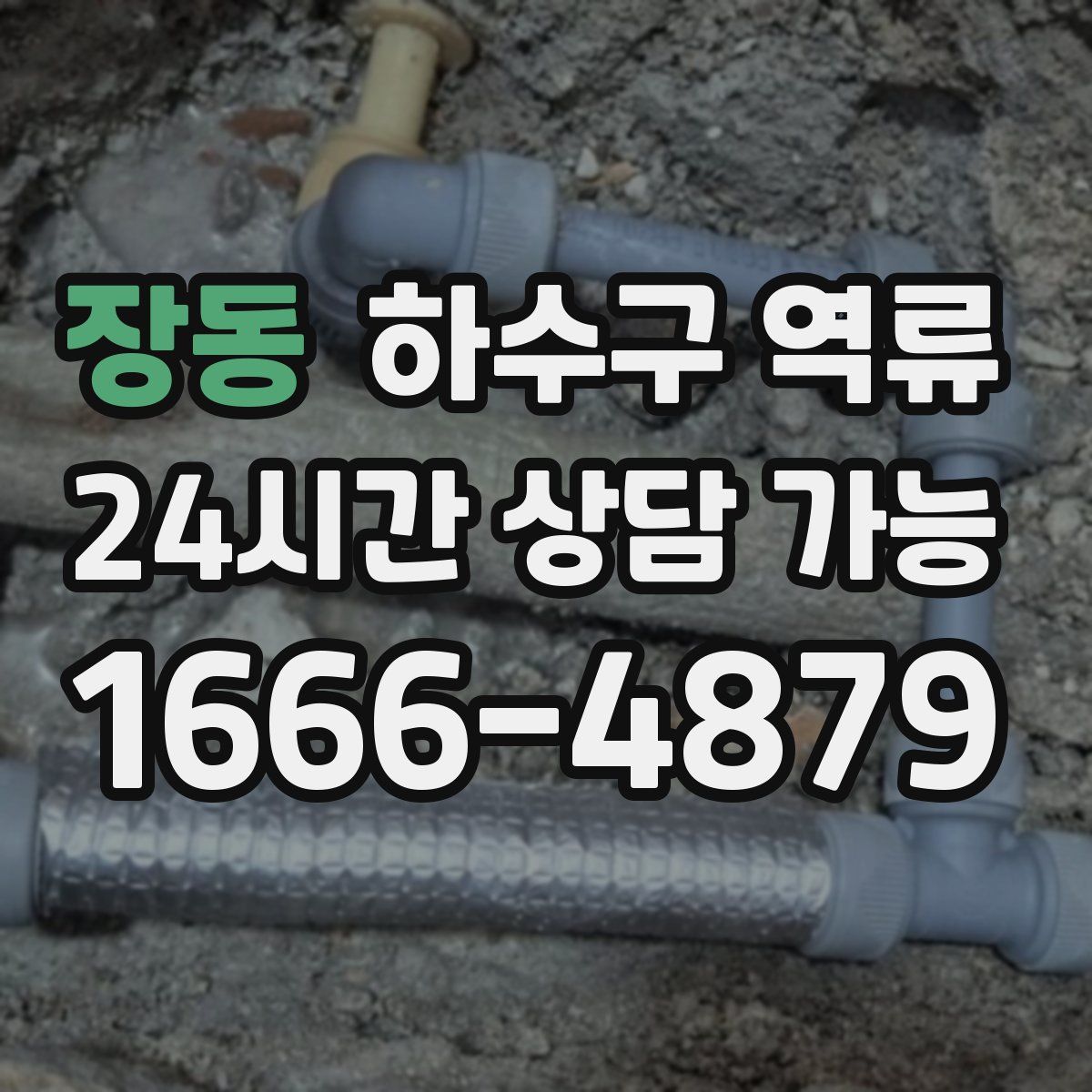 장동 하수구 역류