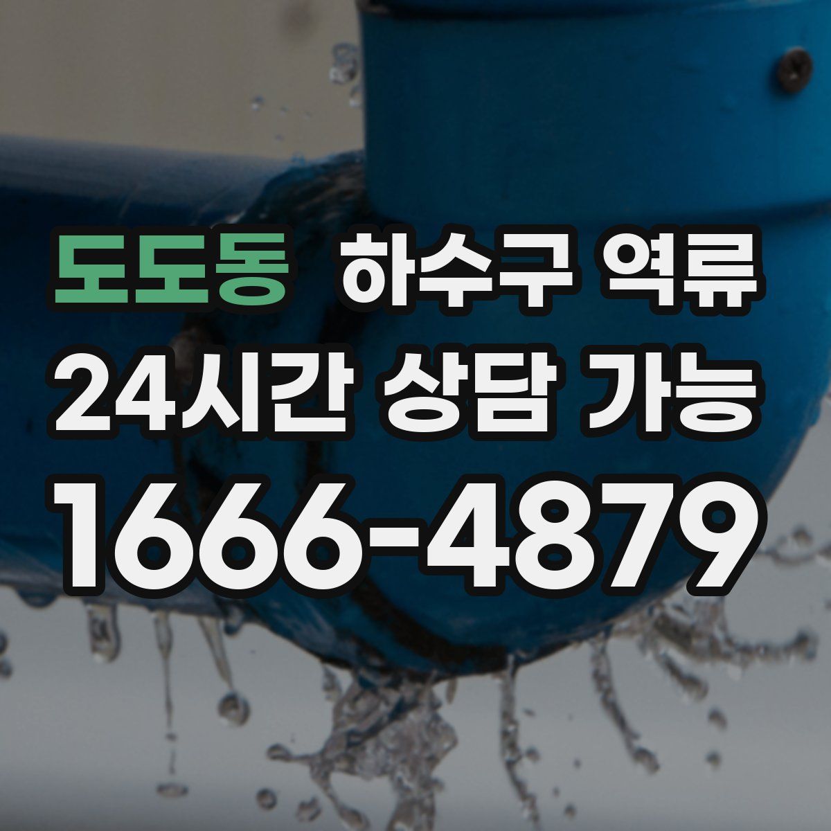 도도동 하수구 역류