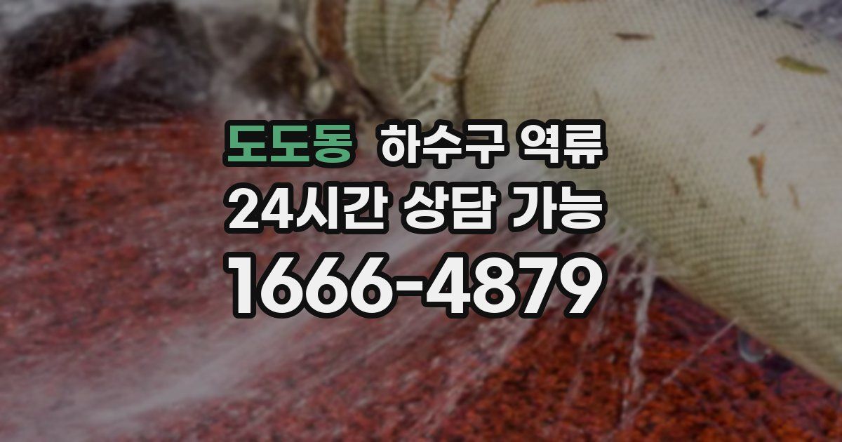 도도동 하수구 역류