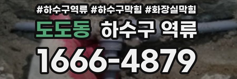 도도동 하수구 역류