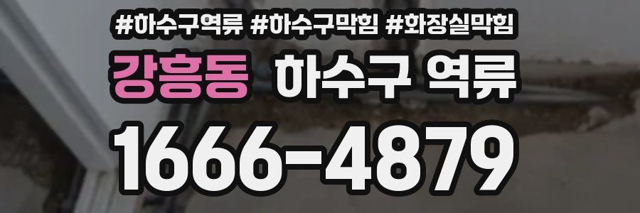 강흥동 하수구 역류