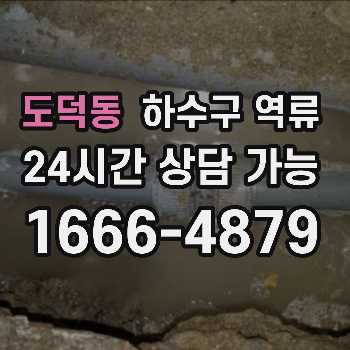 도덕동 하수구 역류