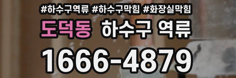 도덕동 하수구 역류