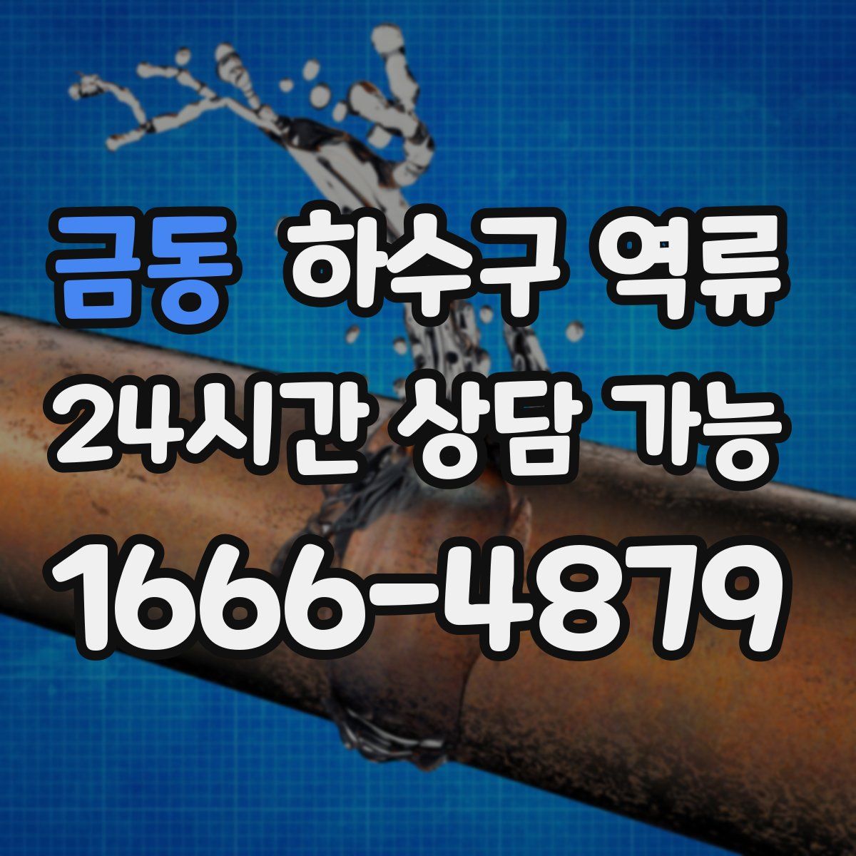 금동 하수구 역류