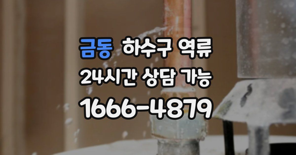 금동 하수구 역류