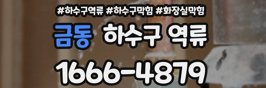 금동 하수구 역류