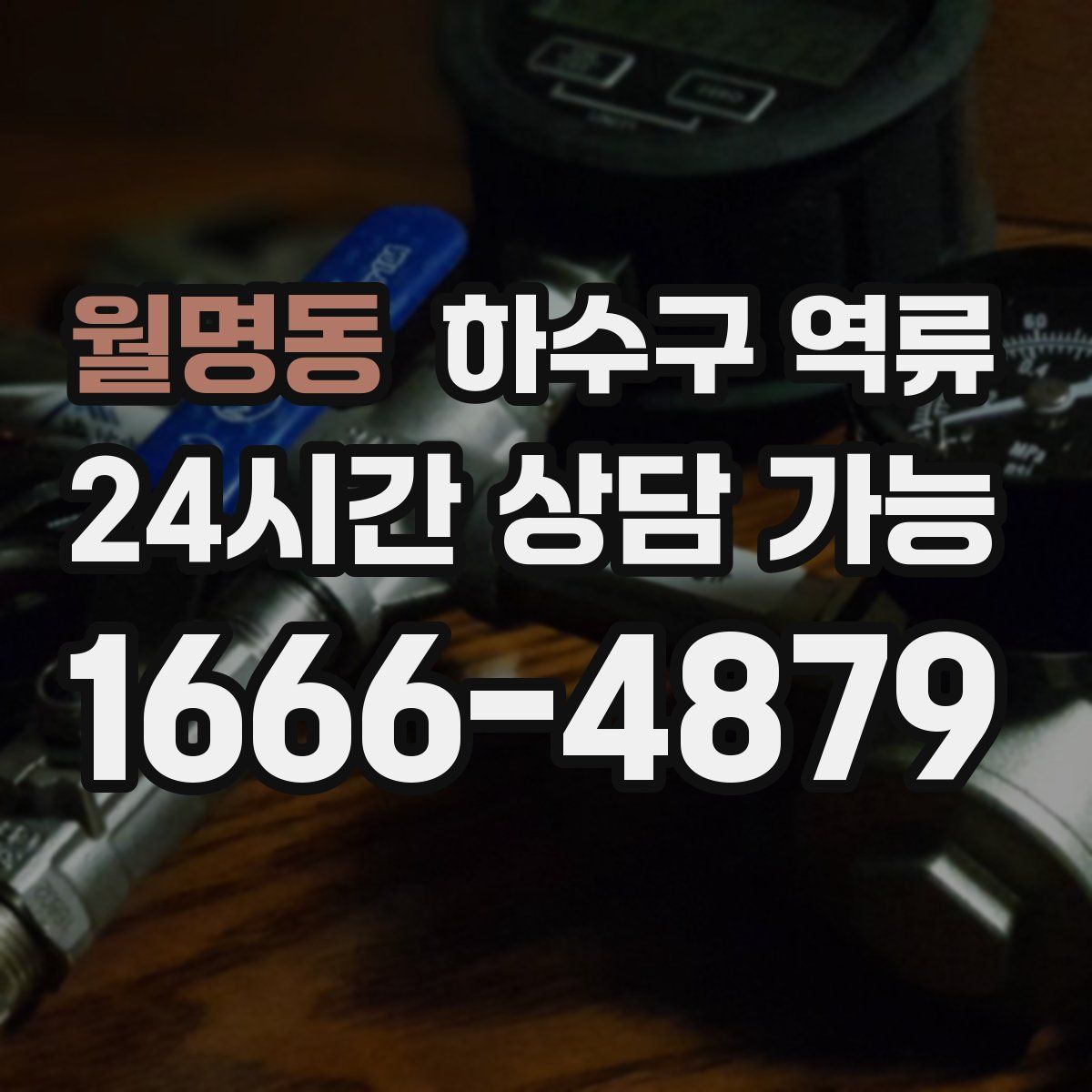 월명동 하수구 역류