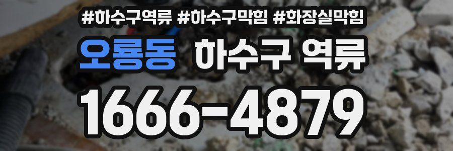 오룡동 하수구 역류