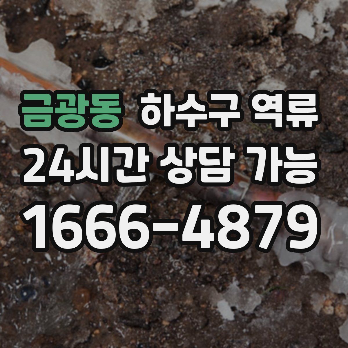 금광동 하수구 역류