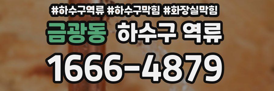 금광동 하수구 역류