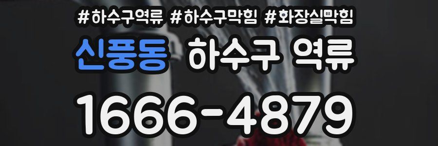 신풍동 하수구 역류