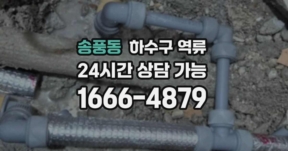 송풍동 하수구 역류