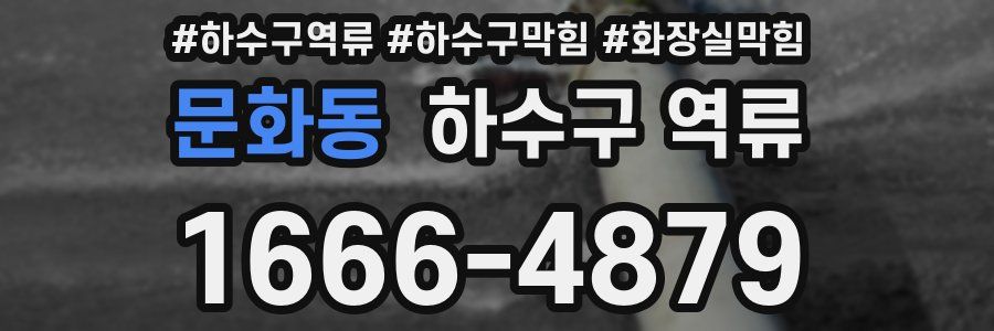 문화동 하수구 역류