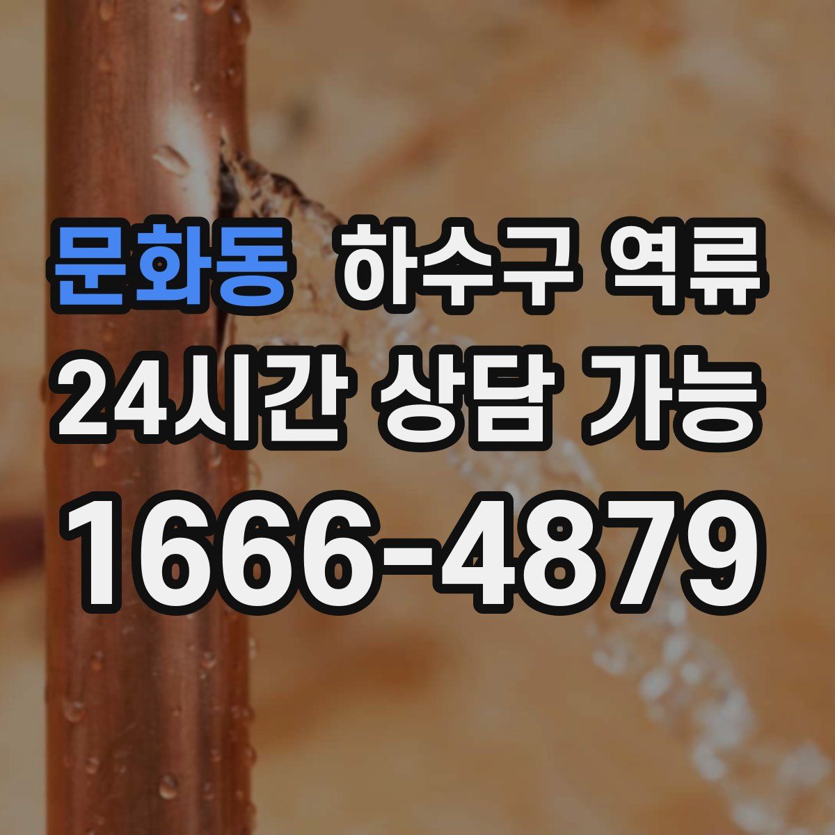 문화동 하수구 역류