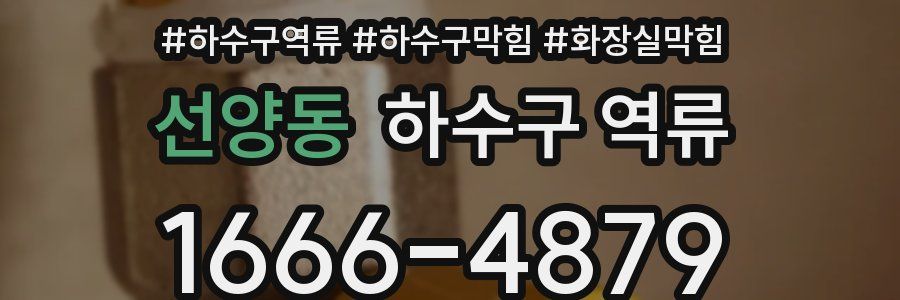 선양동 하수구 역류