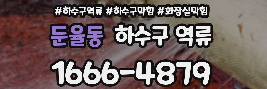 둔율동 하수구 역류