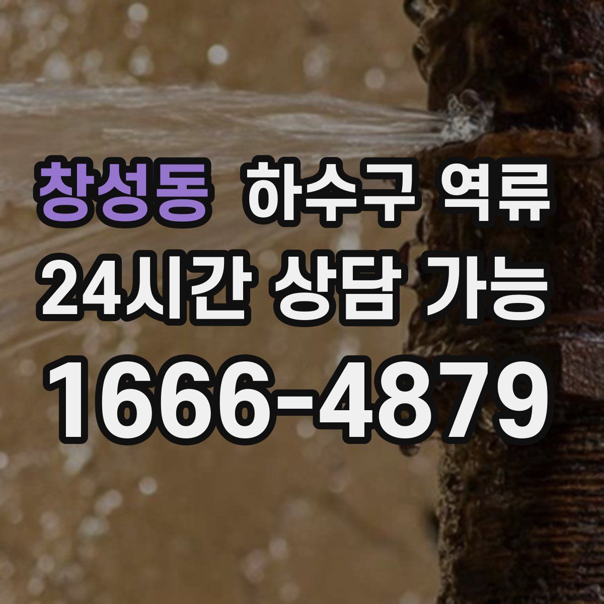 창성동 하수구 역류