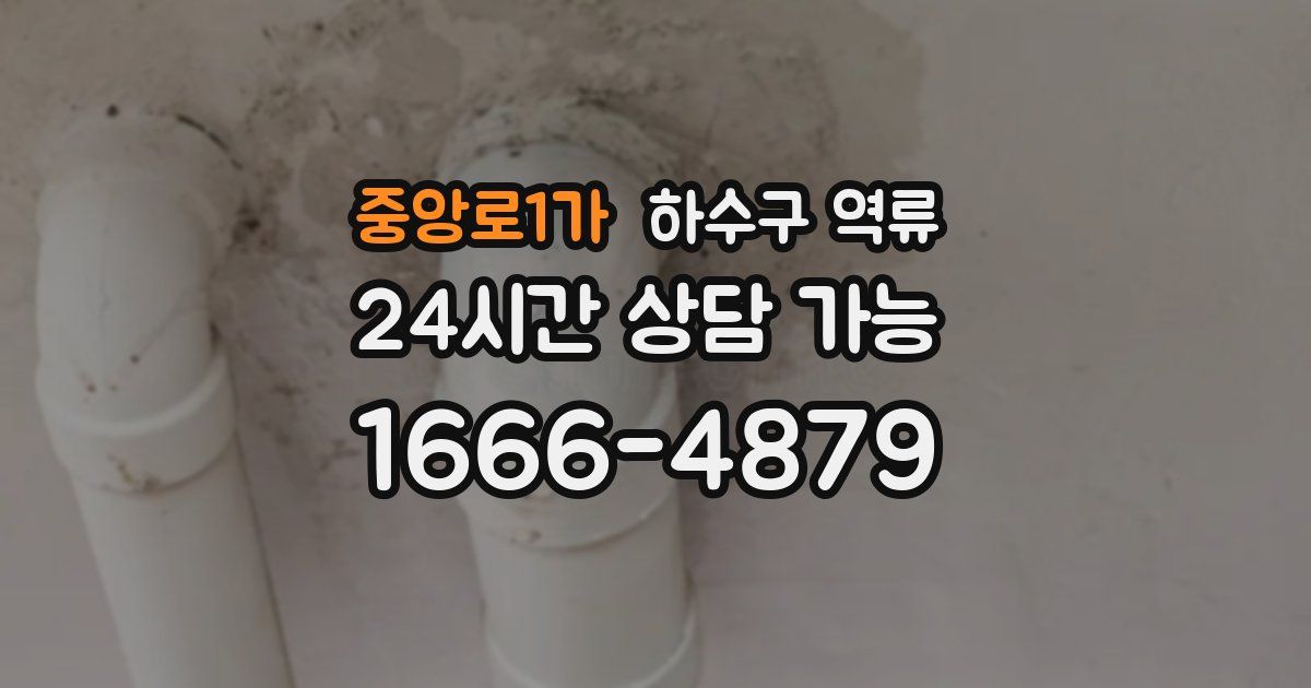 중앙로1가 하수구 역류