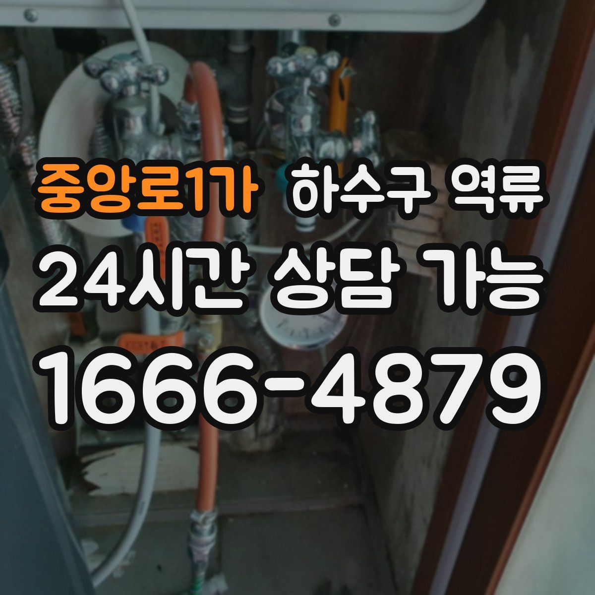 중앙로1가 하수구 역류