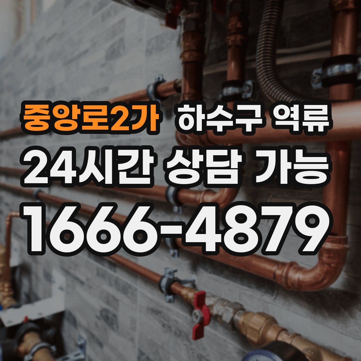 중앙로2가 하수구 역류