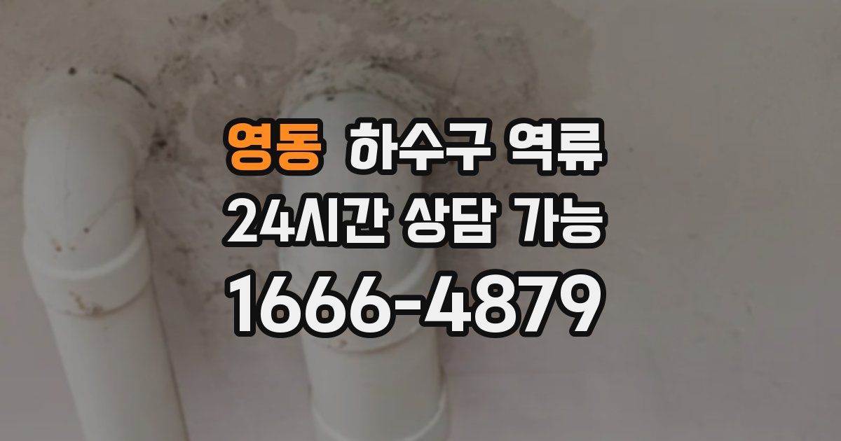 영동 하수구 역류