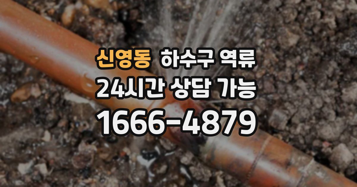 신영동 하수구 역류