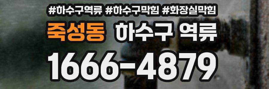 죽성동 하수구 역류