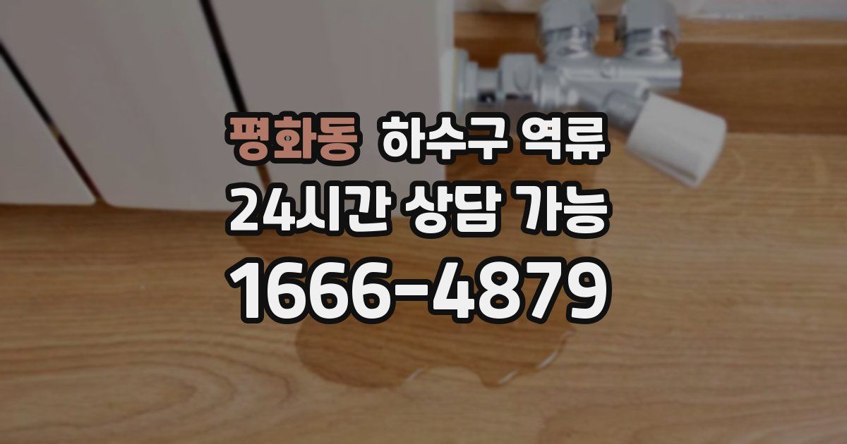 평화동 하수구 역류