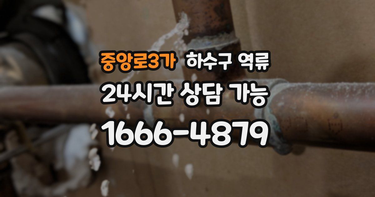 중앙로3가 하수구 역류