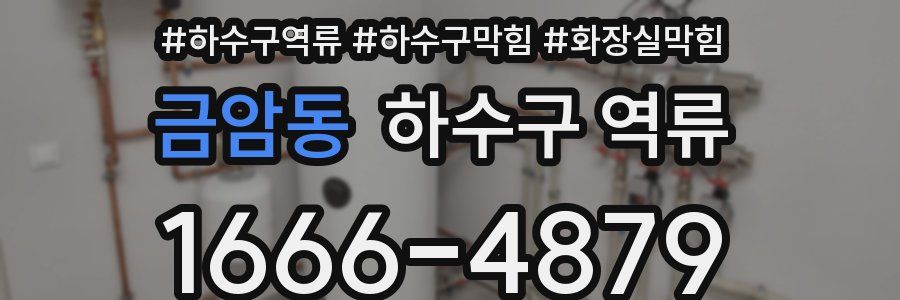 금암동 하수구 역류