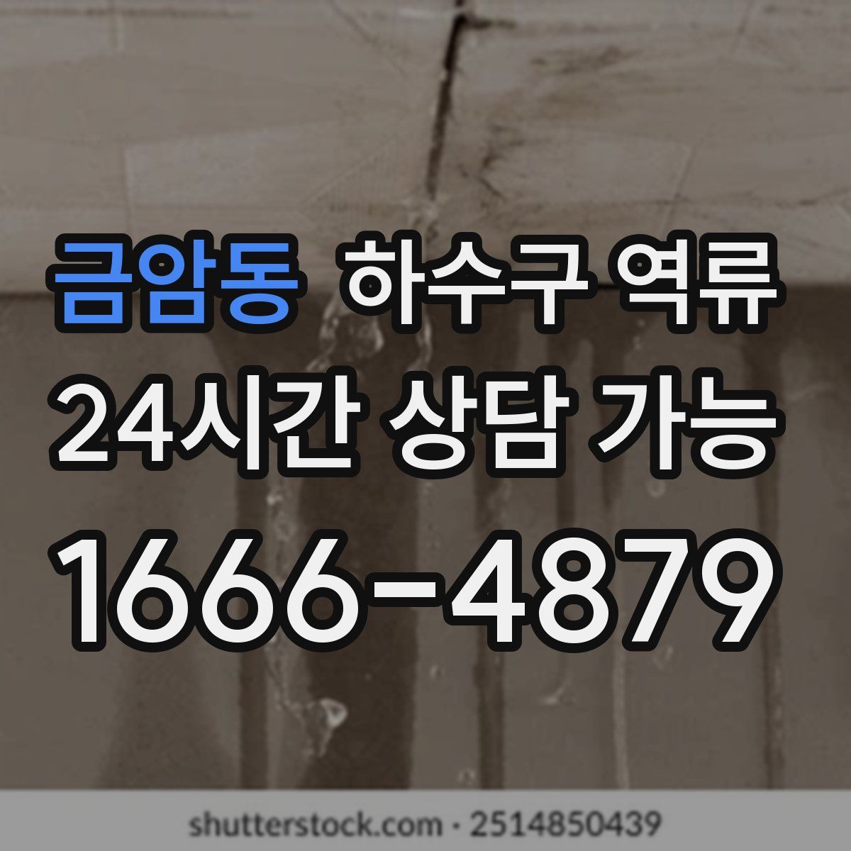 금암동 하수구 역류
