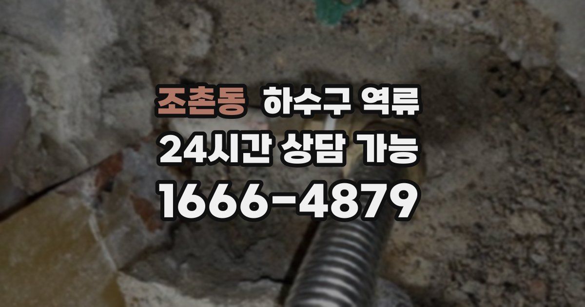 조촌동 하수구 역류