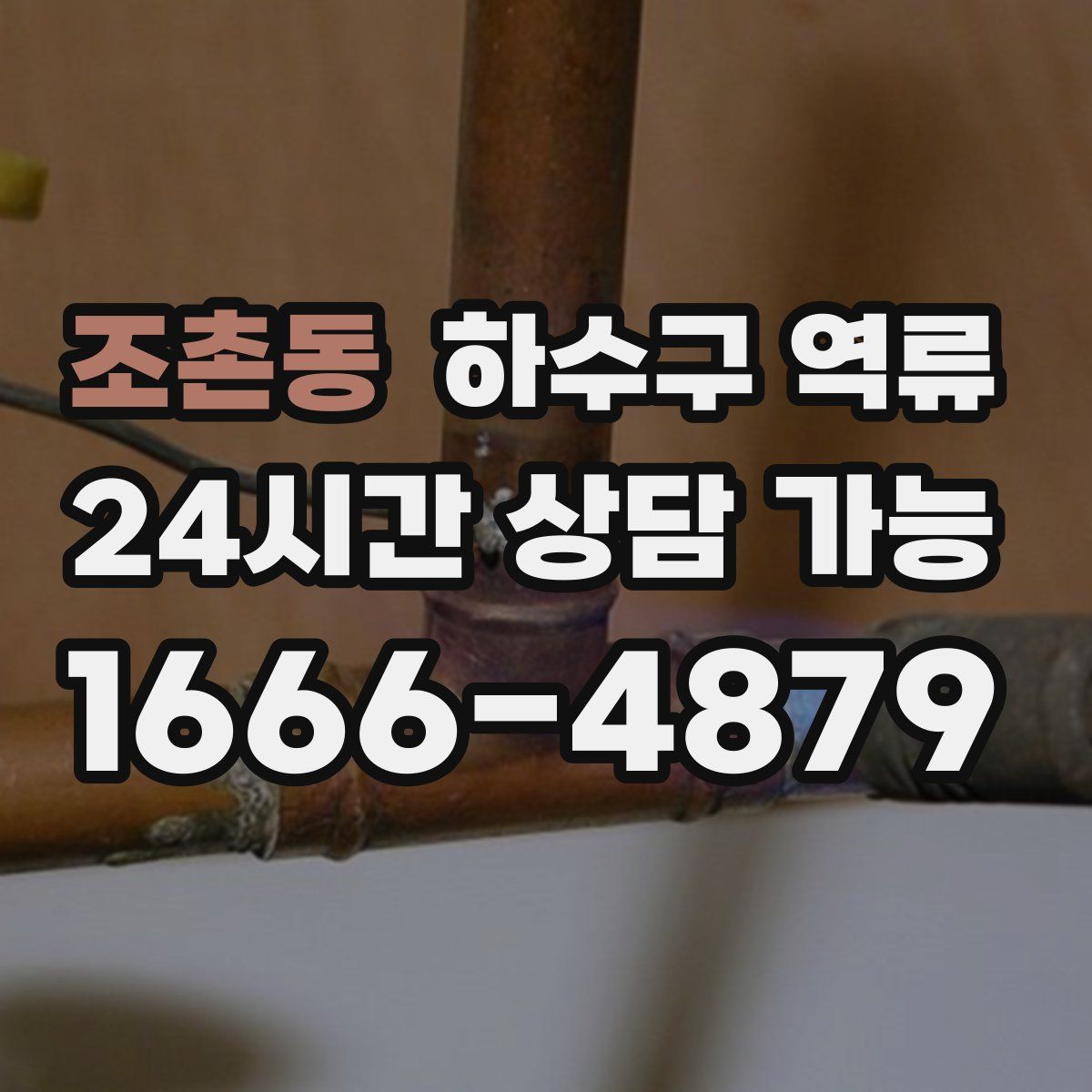 조촌동 하수구 역류