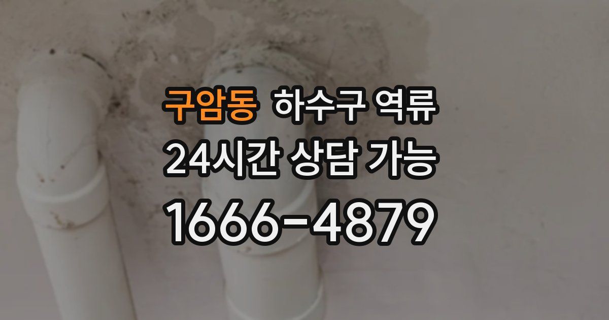 구암동 하수구 역류