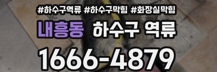 내흥동 하수구 역류