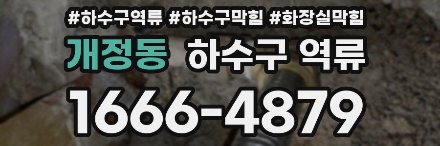 개정동 하수구 역류