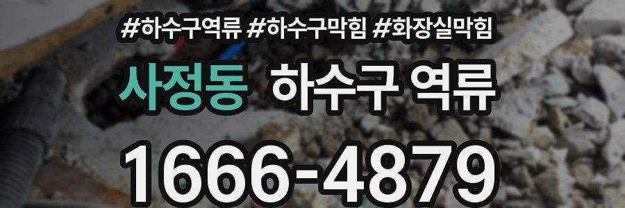 사정동 하수구 역류