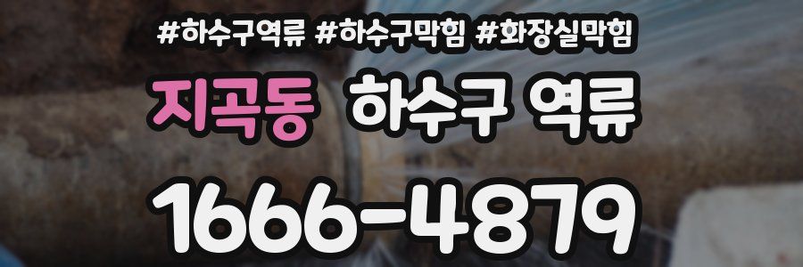 지곡동 하수구 역류