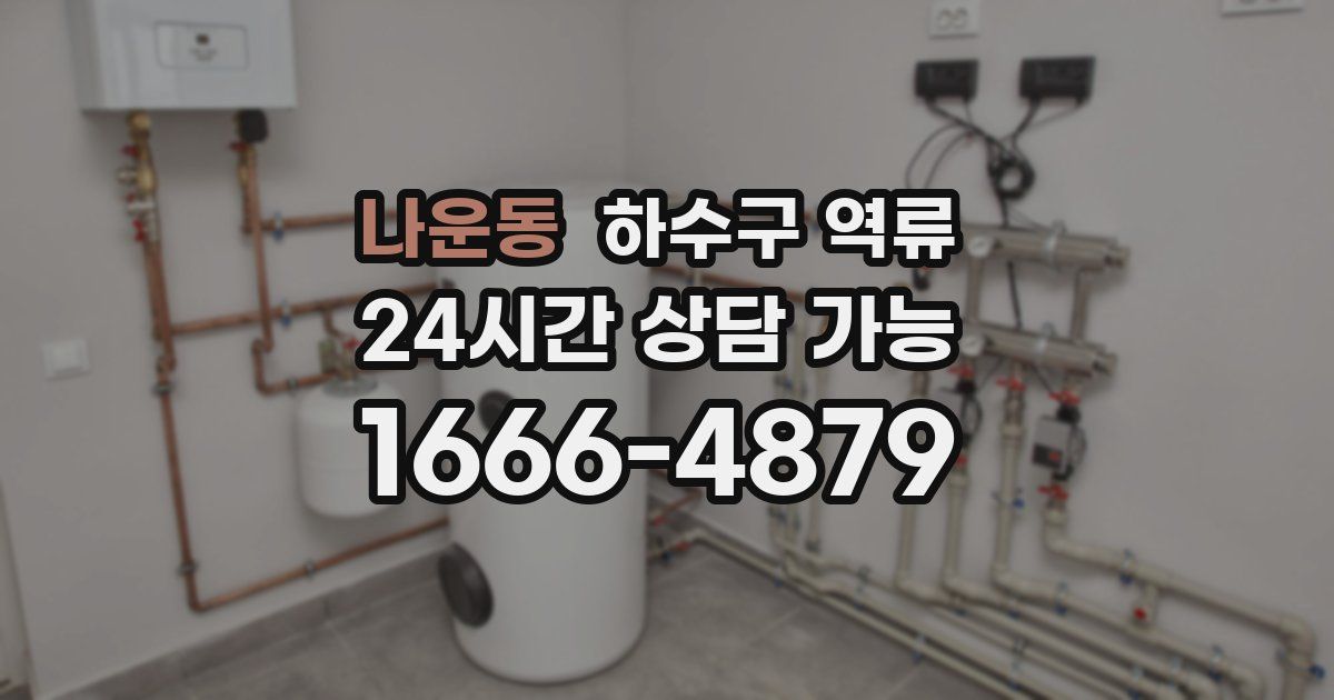 나운동 하수구 역류