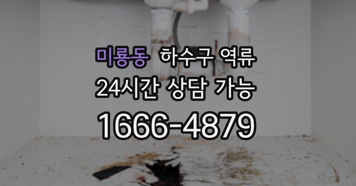 미룡동 하수구 역류